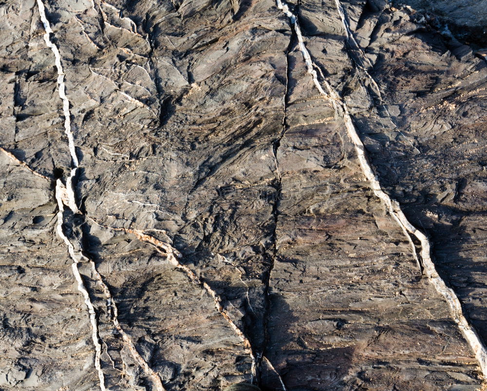 Similar – Image, Stock Photo Grand Canyon