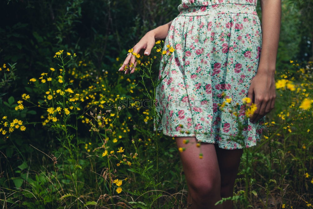 Similar – Young woman in the forest