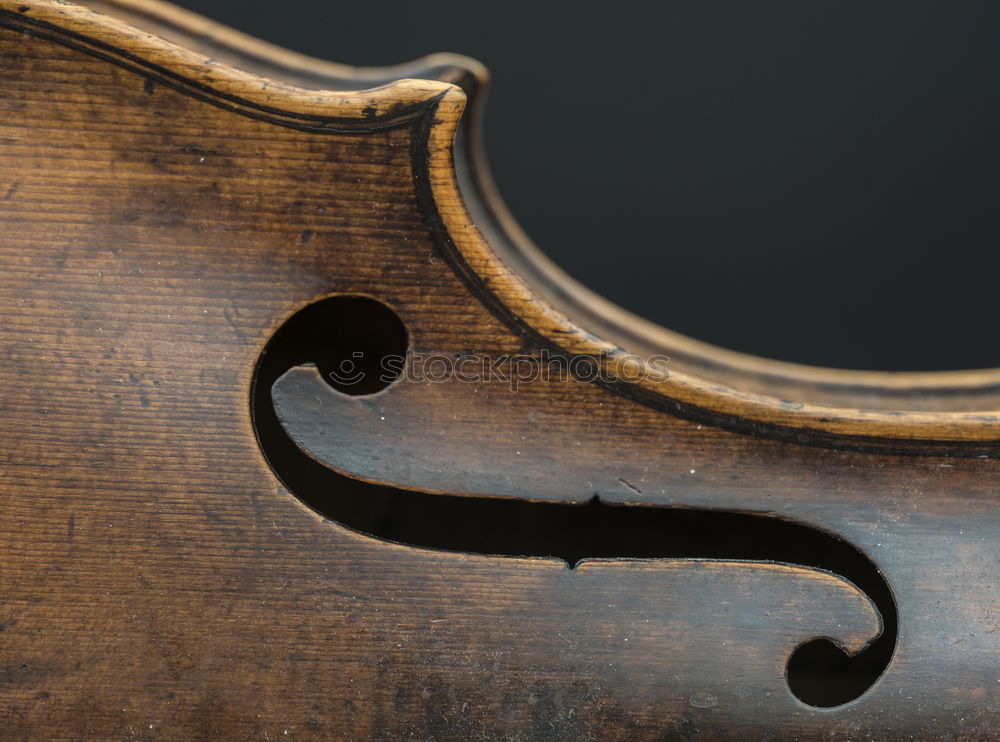 Similar – Foto Bild violine_1 Geige Dinge