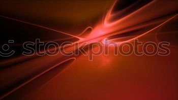 Similar – Image, Stock Photo morning lily Flower