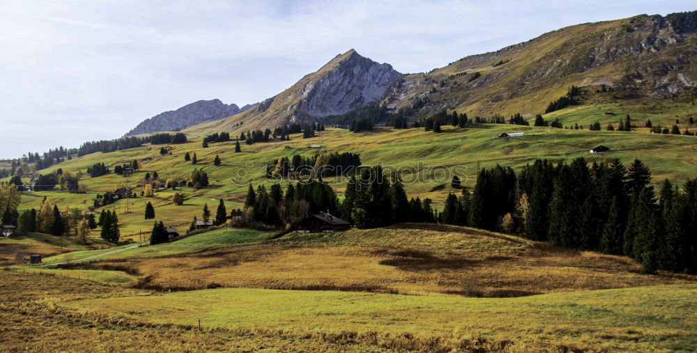 Similar – Image, Stock Photo hiking holiday Environment