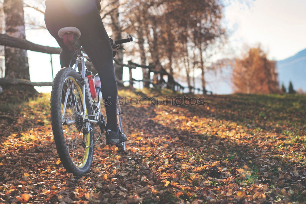 Und dann bin  ich mit dem Fahrrad in die Natur gefahren und machte ein Foto vom Herbstwald und da sah ich: das Vorderrad war teilweise mit aufs Bild gekommen