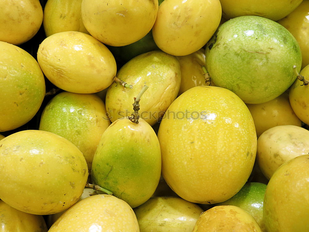Similar – Image, Stock Photo apple harvest Environment
