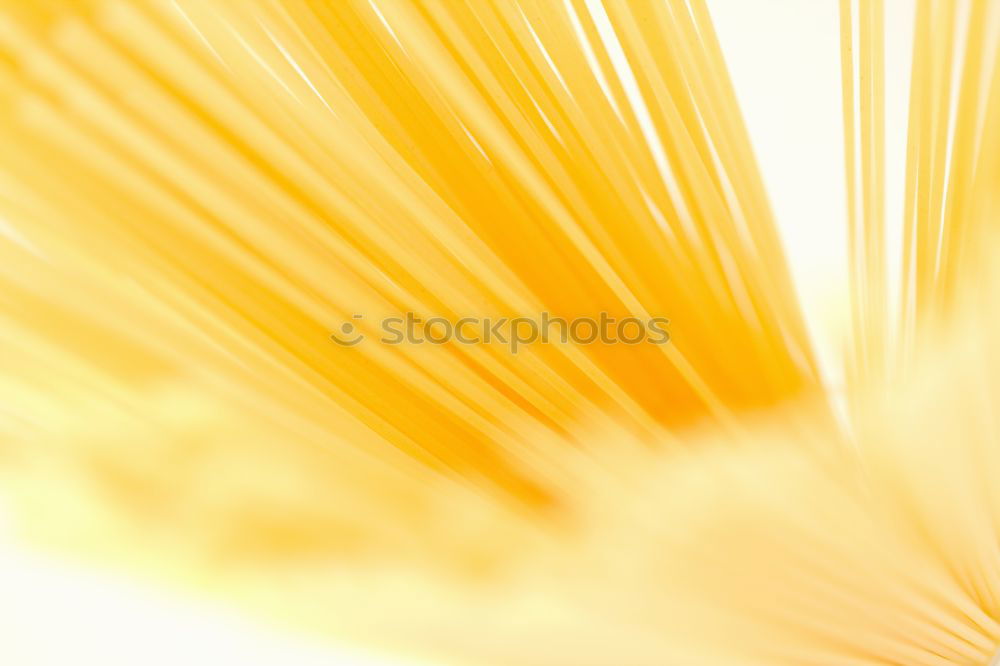 Similar – Image, Stock Photo parasol Straw Sunshade