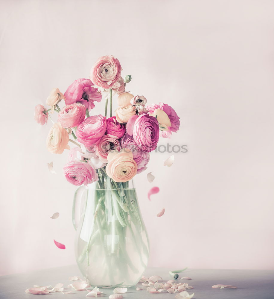 Pastel pink Ranunculus bouquet of flowers in glass jug on the table