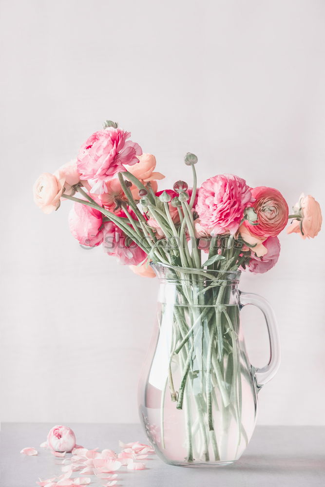 Similar – Female hands hold flowers pot