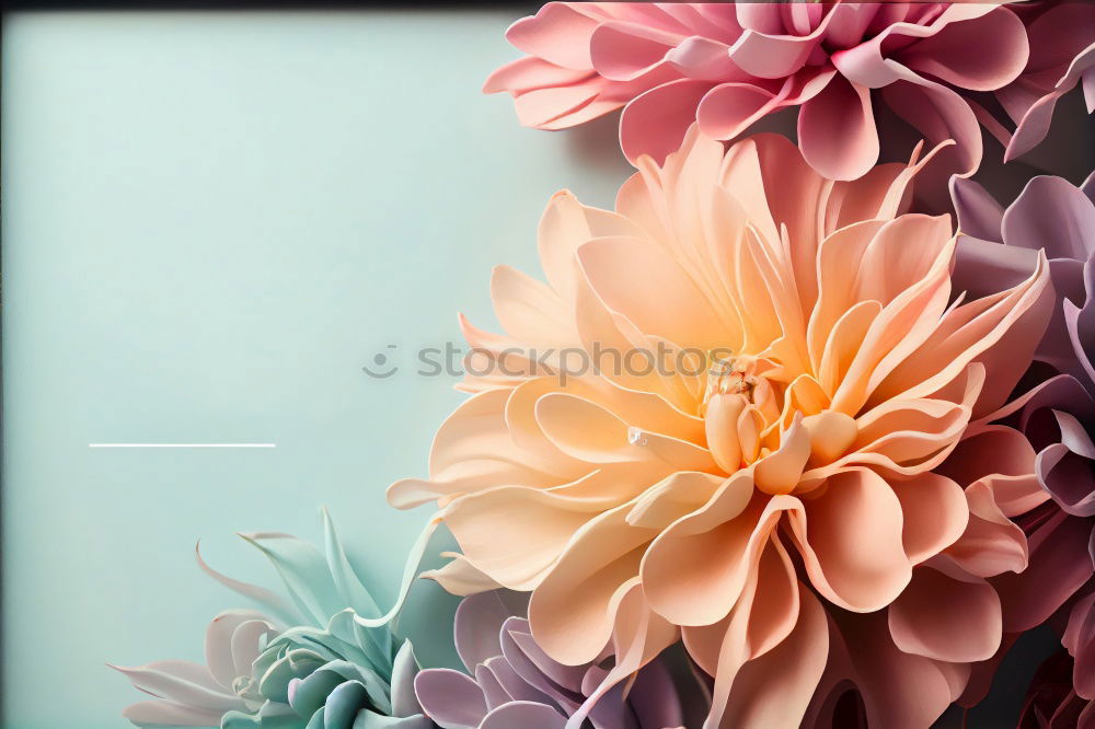 Similar – Image, Stock Photo Flying flowers Style