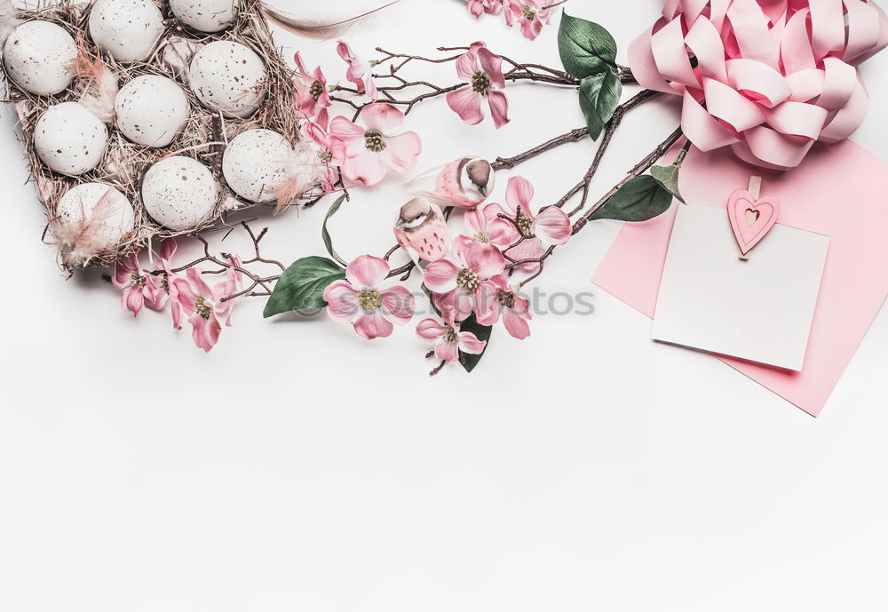 Similar – Composition of pink accessories to female holidays: Mothers day , Womens day, birthday or wedding. Paper shopping bag with flowers,paper, party fan and ribbon on white background, top view