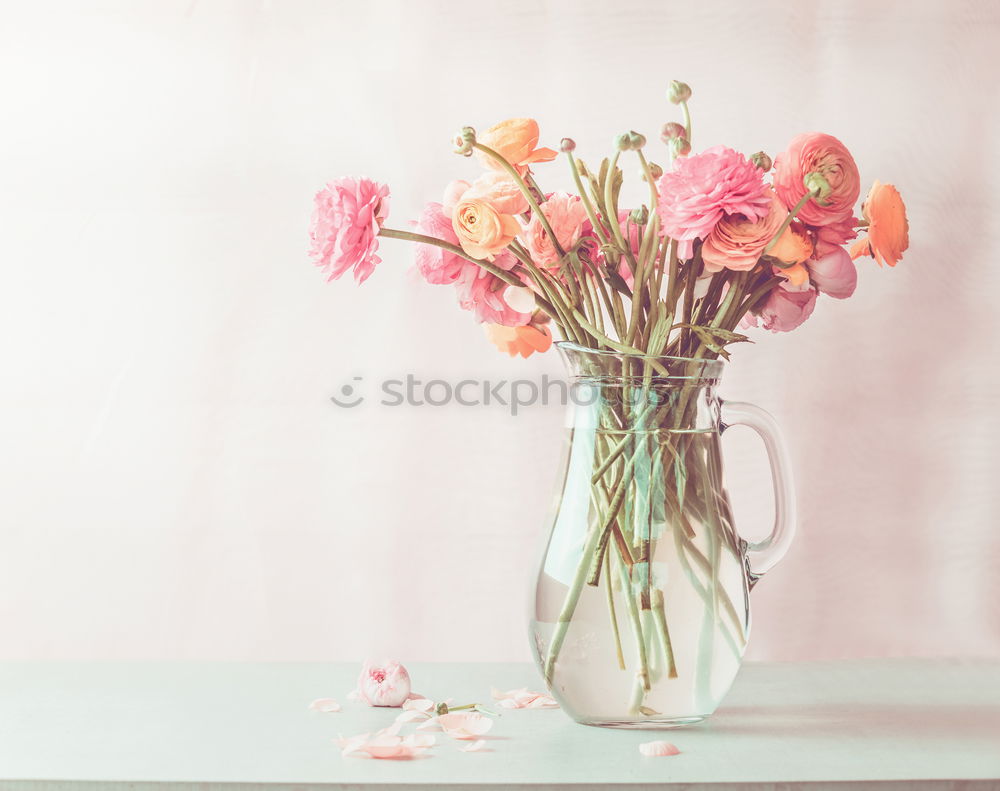 Similar – Female hands hold flowers pot