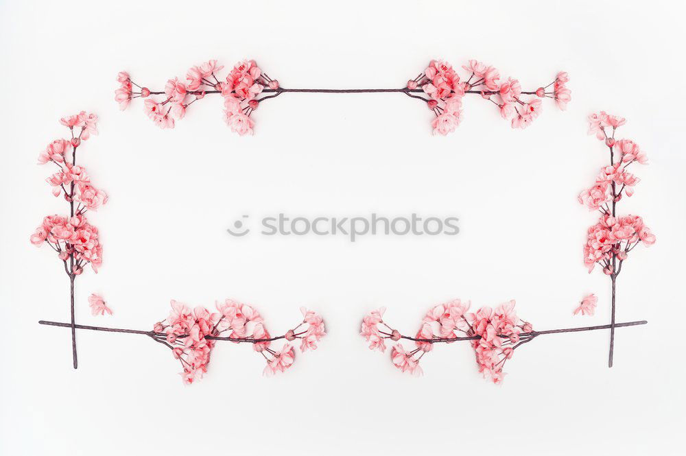 Image, Stock Photo Pink flower frame on white