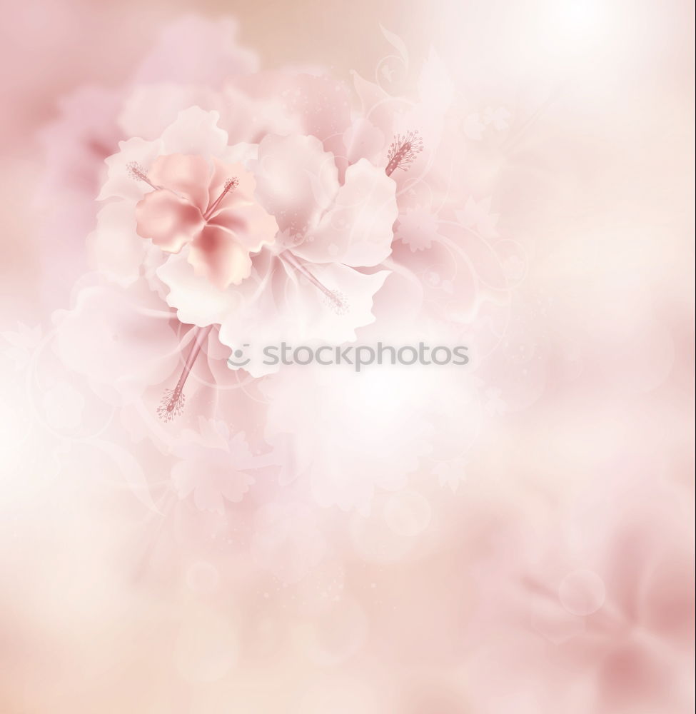 Similar – Flower background in pastel shade