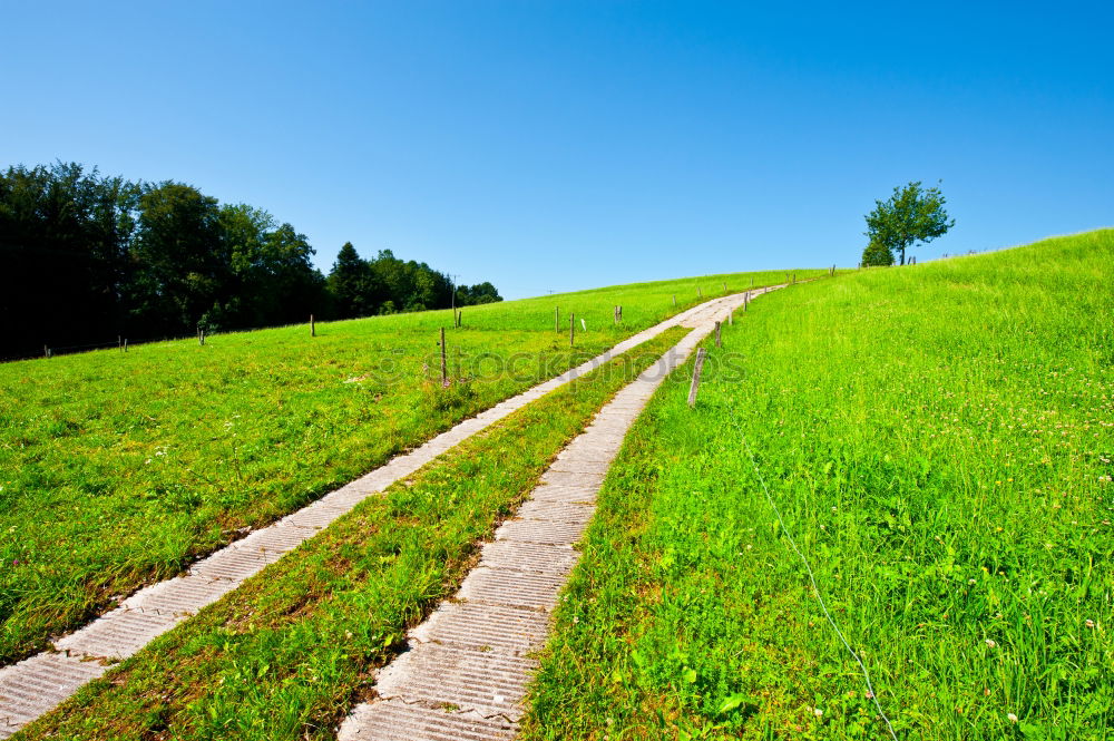 Similar – green meadow Meadow Hiking