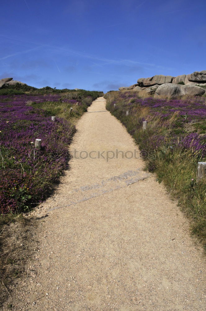 Similar – Image, Stock Photo Heath Landscape in Wales