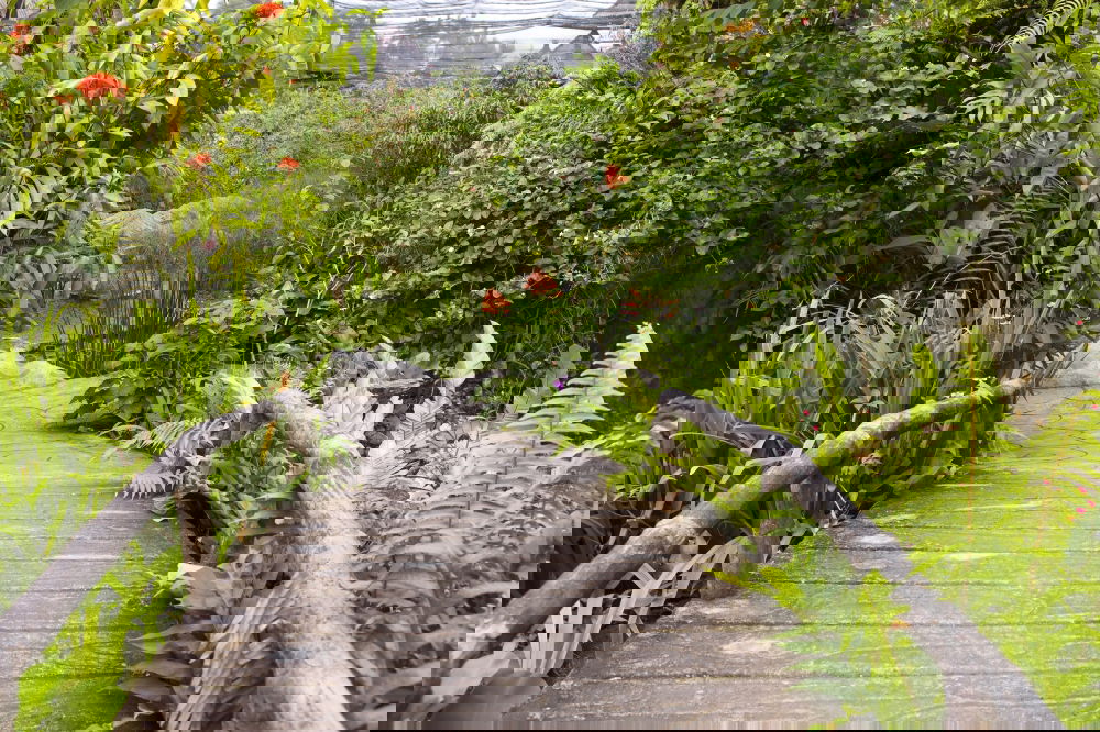 Similar – Image, Stock Photo building bridges