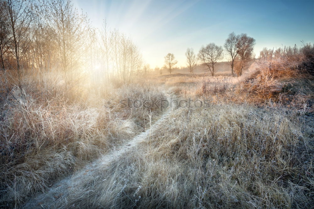 Similar – Image, Stock Photo Sunny winter morning on a river