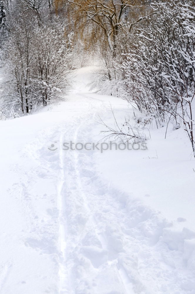 Similar – Foto Bild SCHNEERAD Umwelt Natur