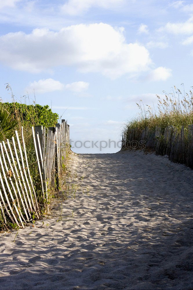 Similar – Foto Bild auf eigene gefahr Strand