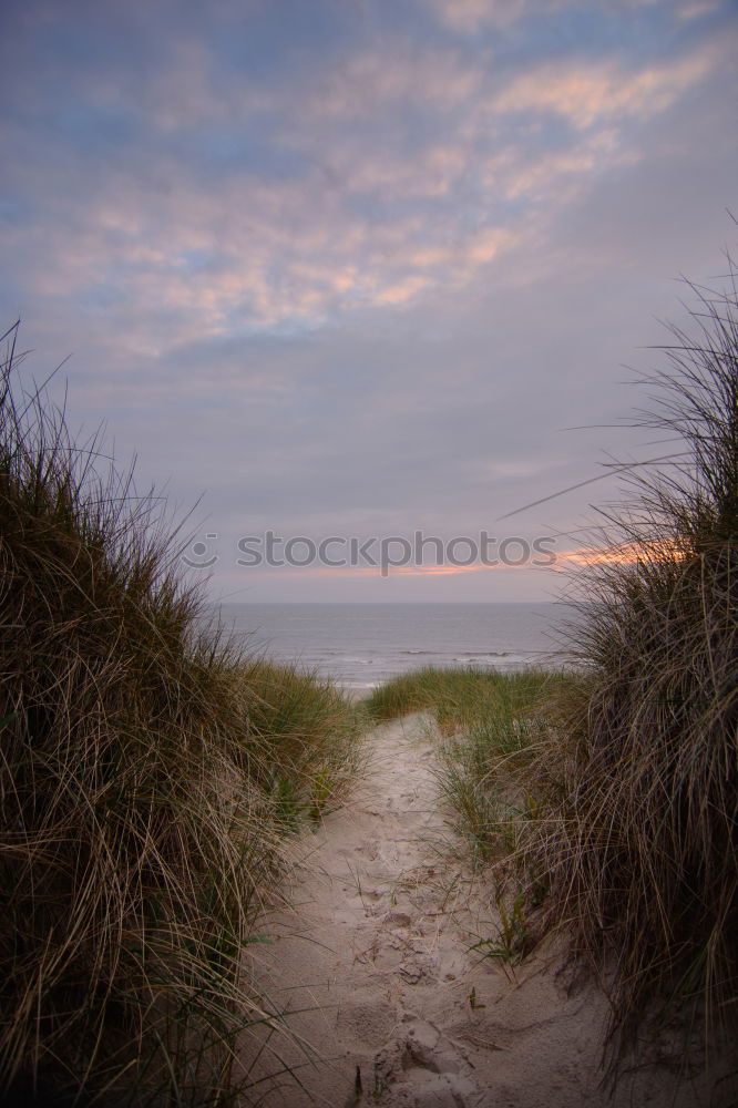 Similar – langeoog Langeoog Nordsee