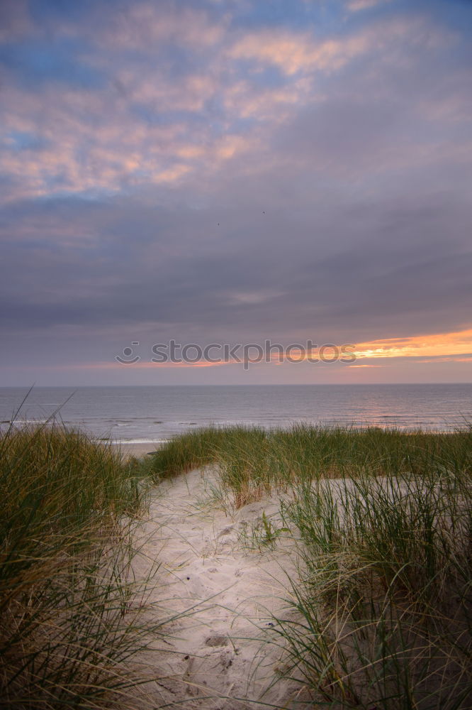 Similar – Heiligendamm Nature