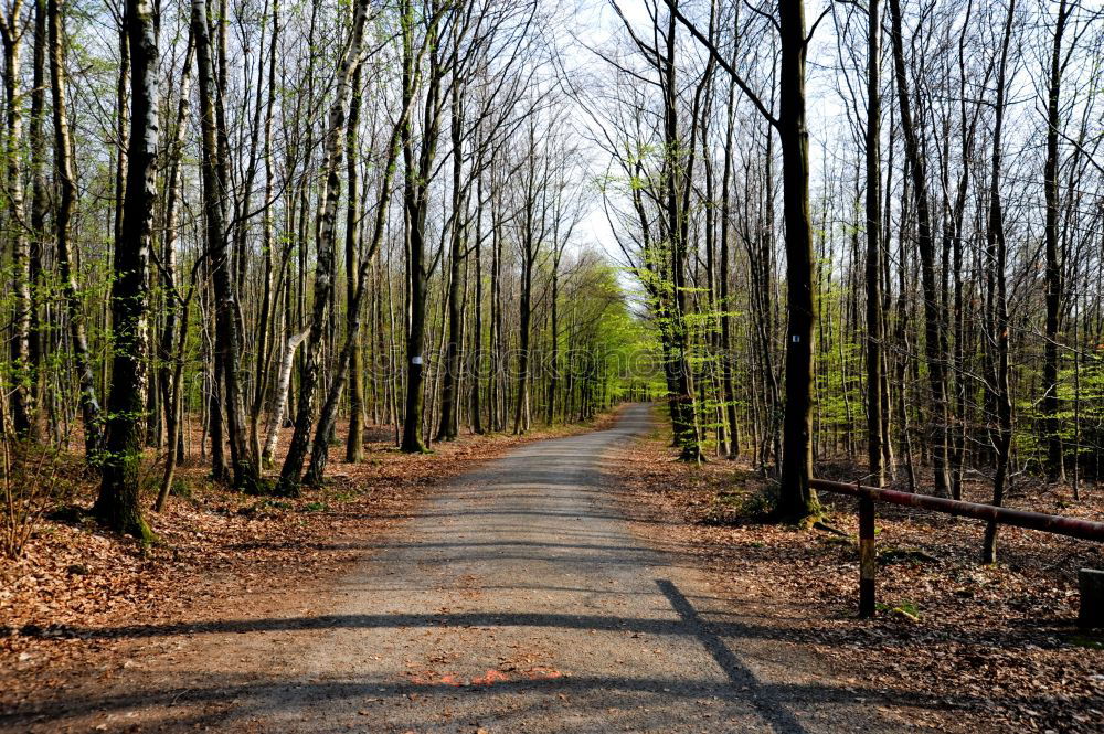 Similar – Image, Stock Photo On the road by bike