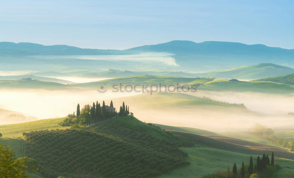 Similar – Tuscan olive trees and fields in the near farms, Italy