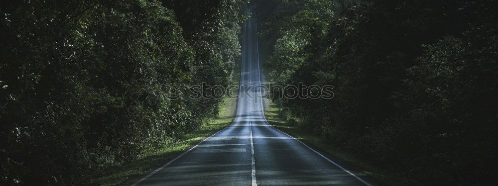 Similar – Image, Stock Photo The pulsating vein of the city