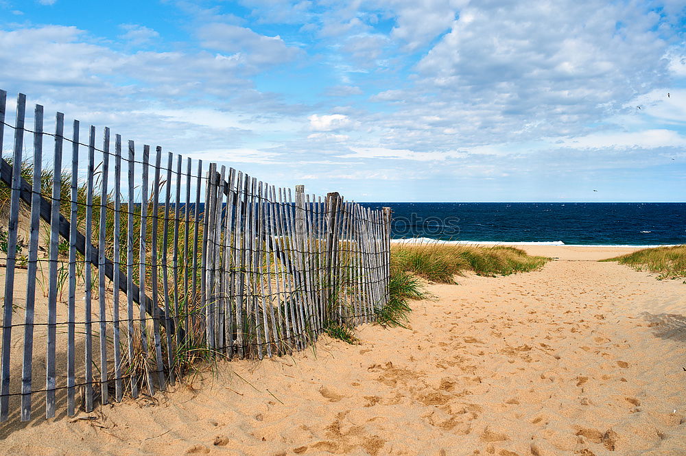 Similar – Image, Stock Photo Sea bridge in Ahlbeck on the island Usedom