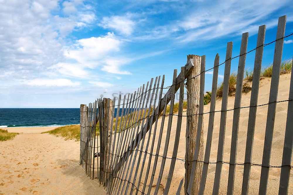 Similar – Image, Stock Photo Sea bridge in Ahlbeck on the island Usedom