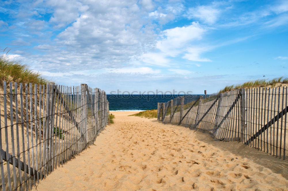 Similar – Image, Stock Photo Sea bridge in Ahlbeck on the island Usedom