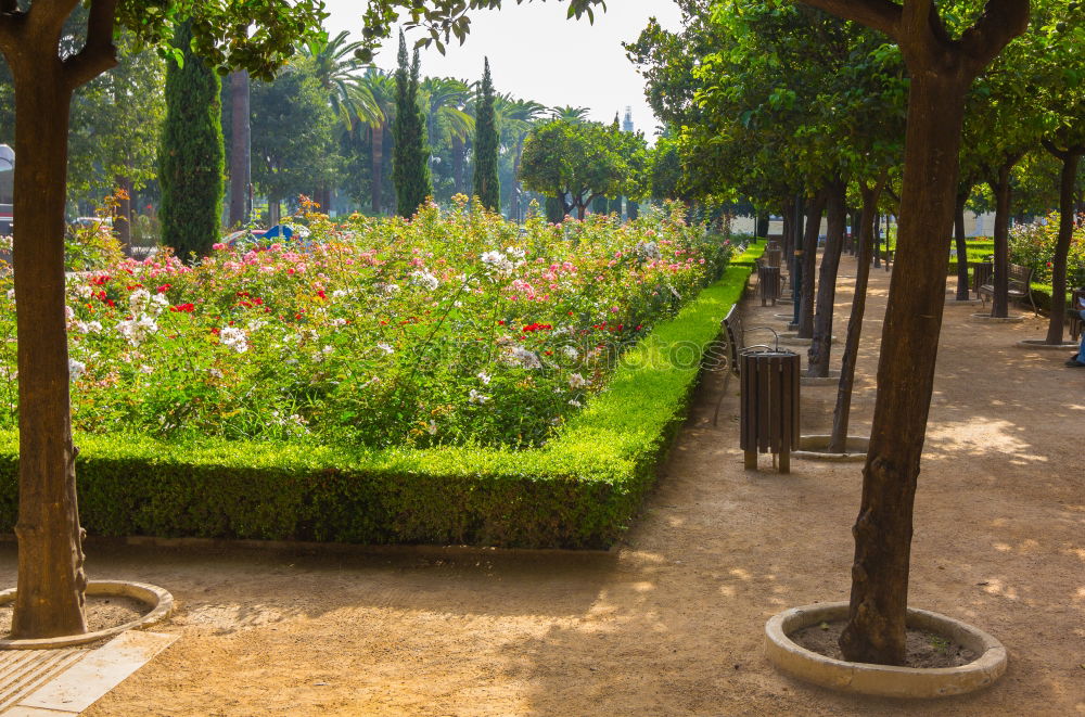 Similar – Image, Stock Photo shaving seat Spa gardens