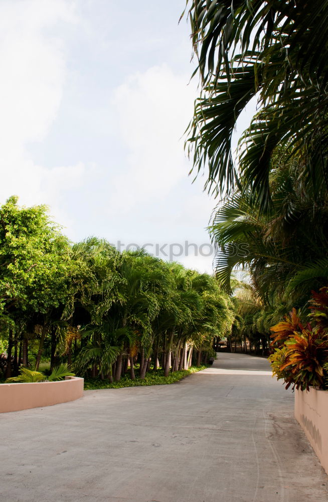 Similar – Zanzibar I Park Deserted