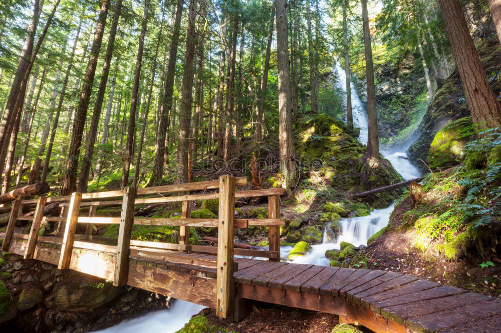 Bridging the Canyon