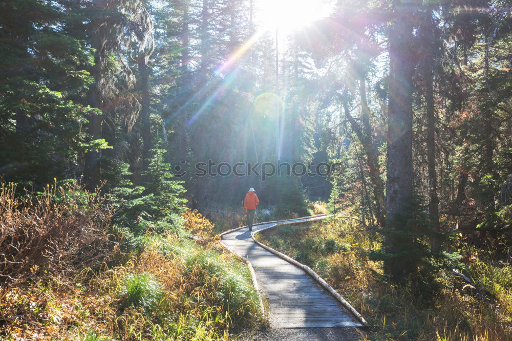 Similar – Image, Stock Photo Let’s go Landscape Sunrise