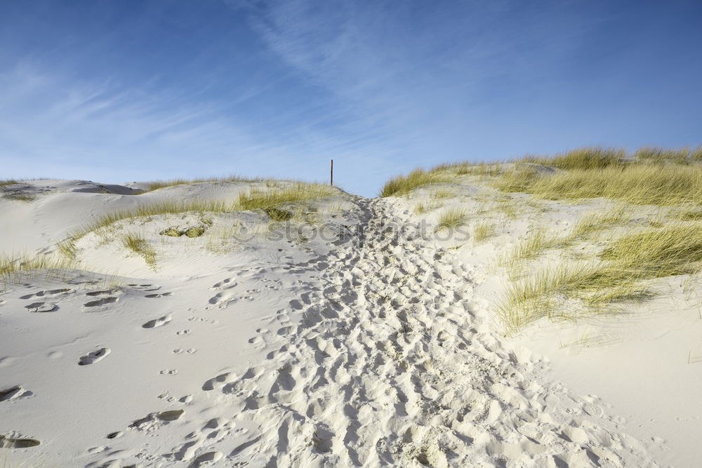 Similar – Image, Stock Photo Stairway to heaven