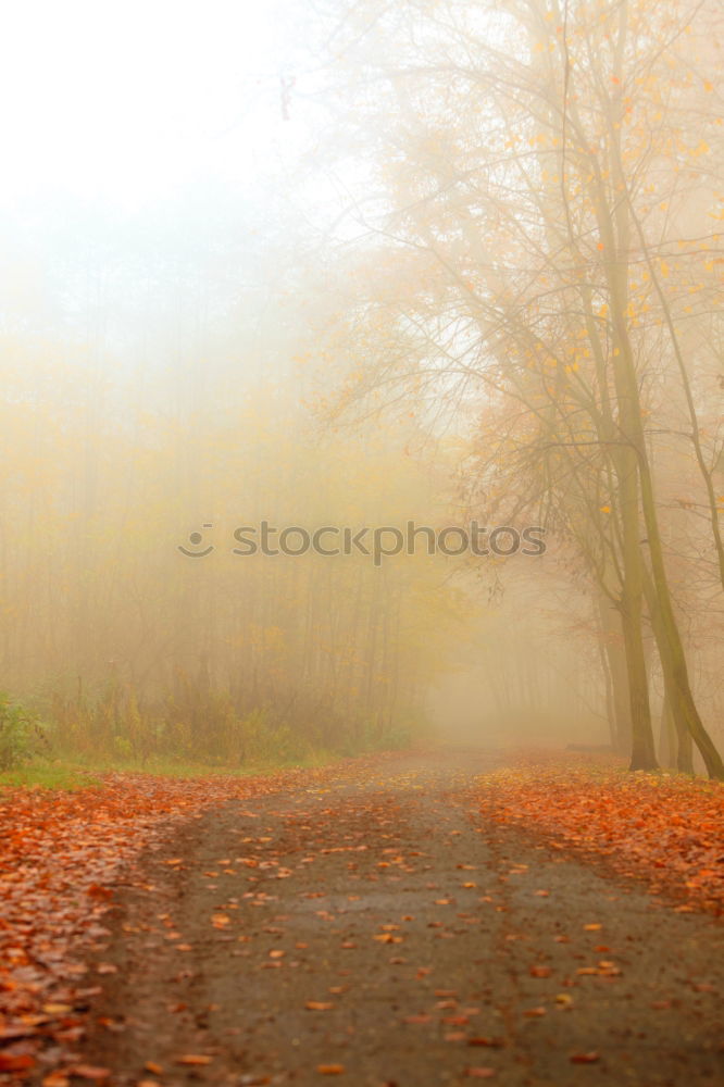 Similar – Image, Stock Photo ….where the streets have no name