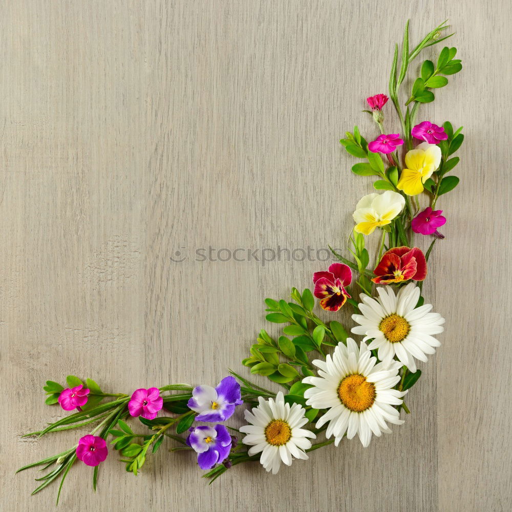 Similar – Image, Stock Photo Holding flowers with hands