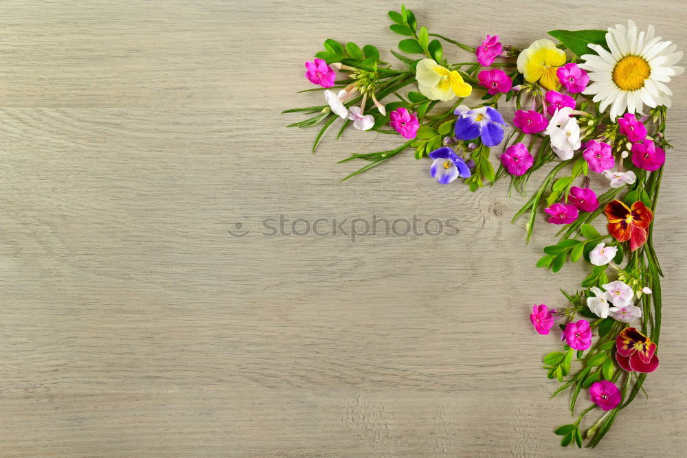 Similar – Image, Stock Photo various meadow flowers in glass vases