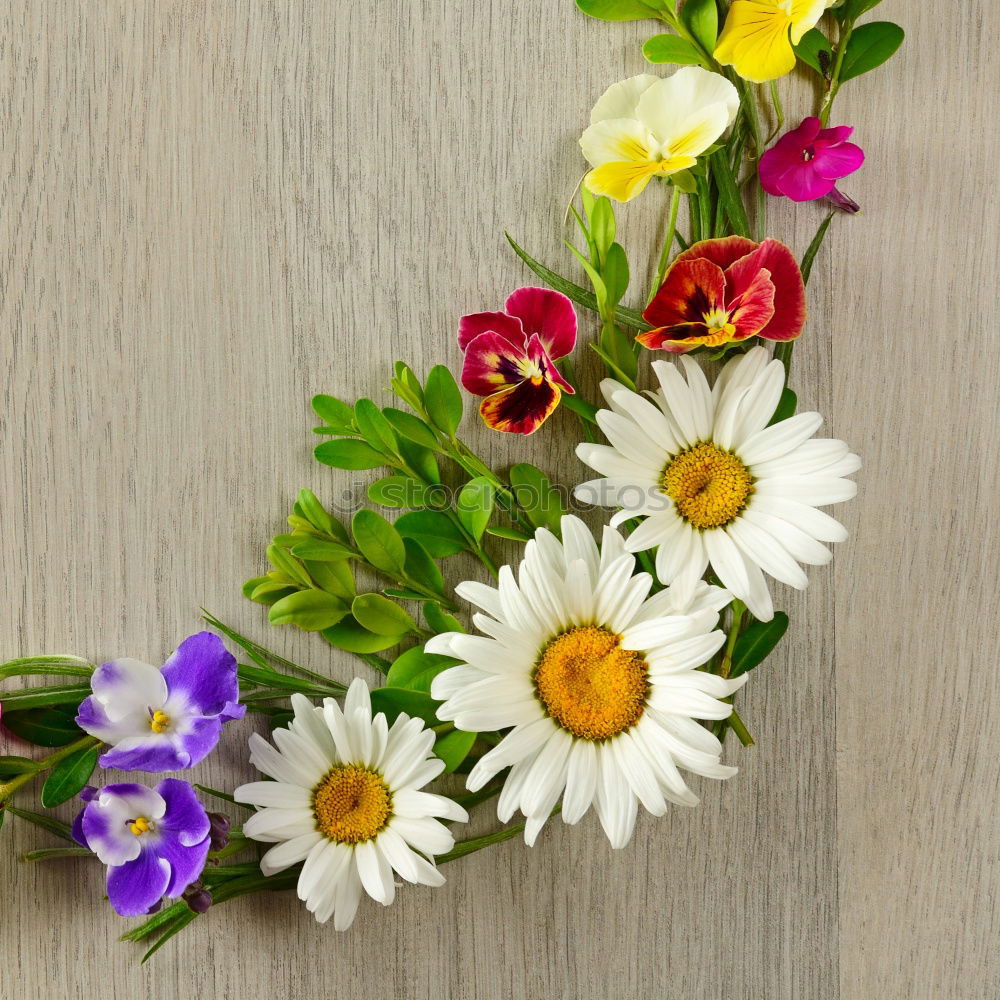 Similar – flower wreath Nature Plant