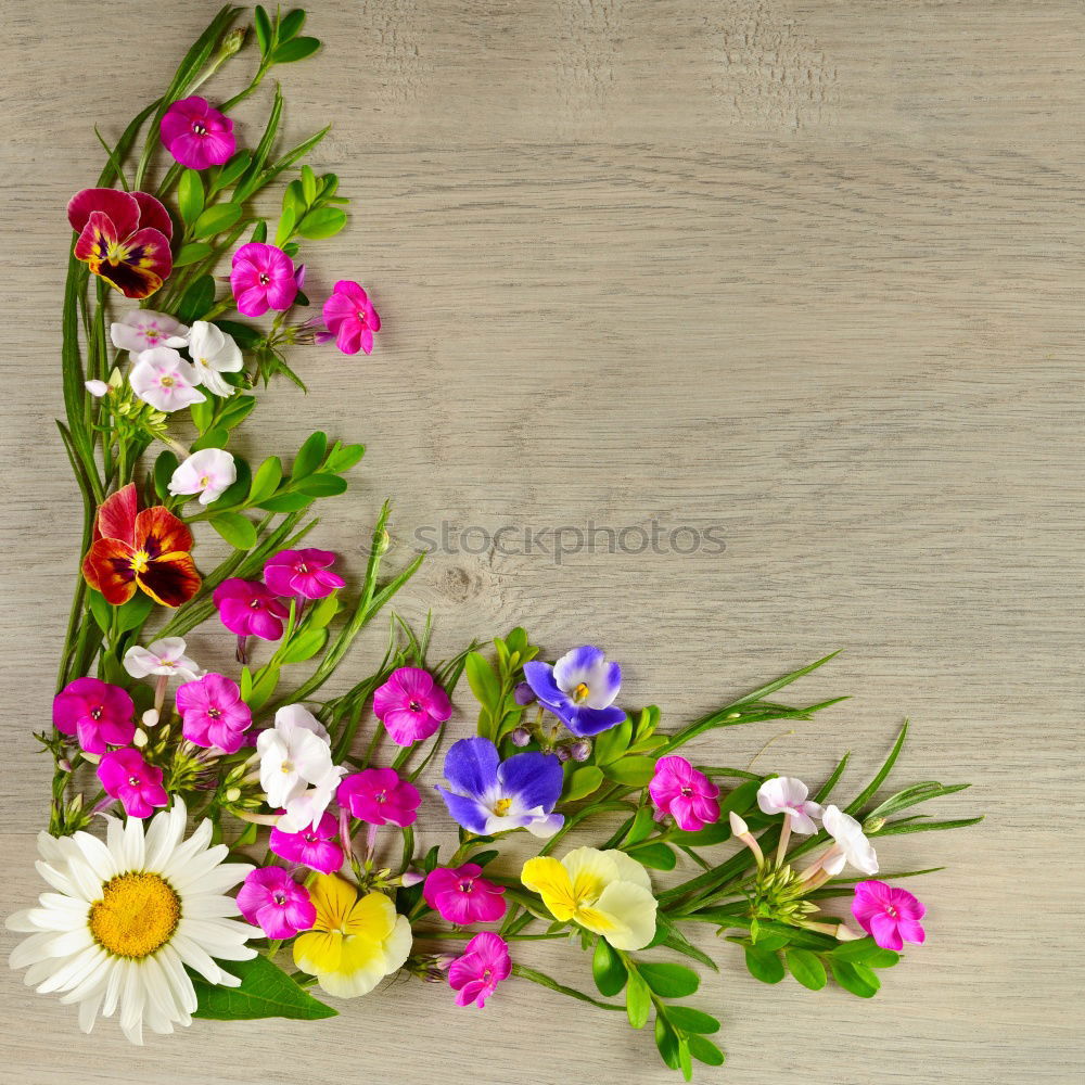 Similar – flower wreath Nature Plant