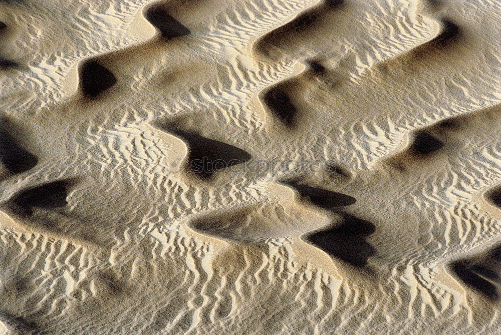 Similar – beach shapes Sand Beach