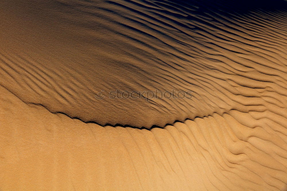 Similar – Sand wave. Environment