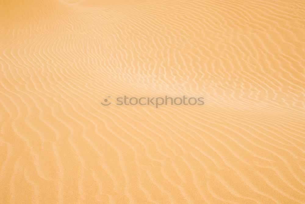 Similar – in the sahara morocco desert