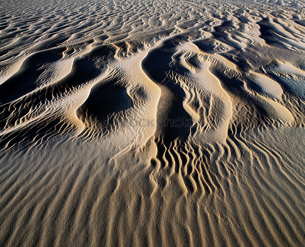 Similar – Aerial photo: Muschelberge