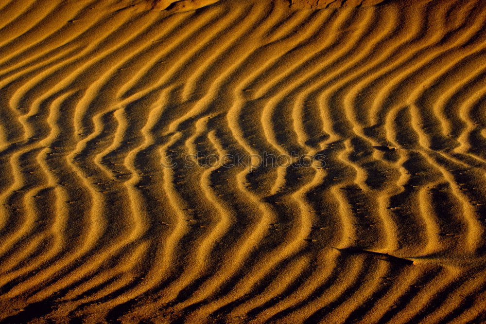 Similar – sand waves Desert Sand