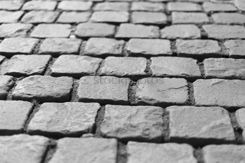 Image, Stock Photo Traditional cobbled street in Rome, Italy