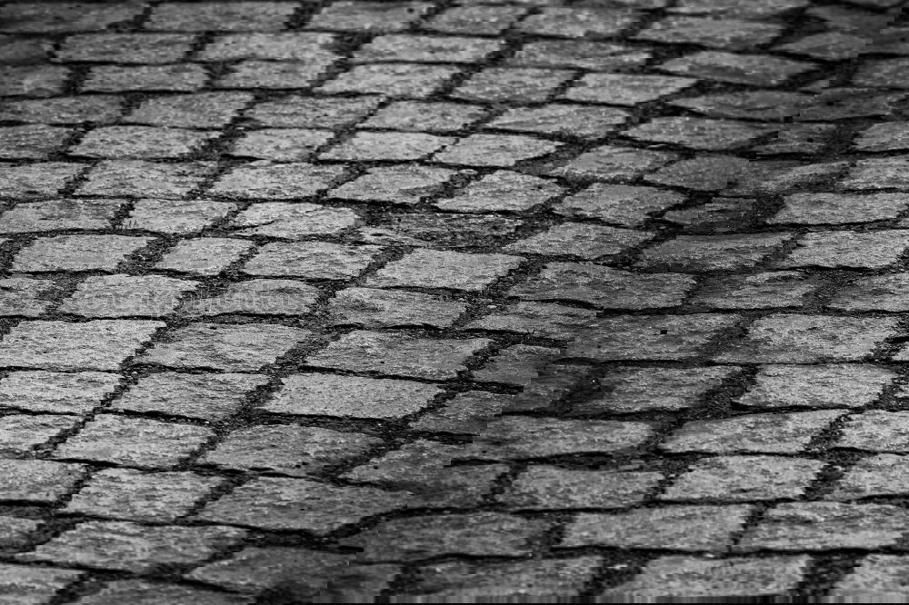 Similar – Image, Stock Photo Traditional cobbled street in Rome, Italy
