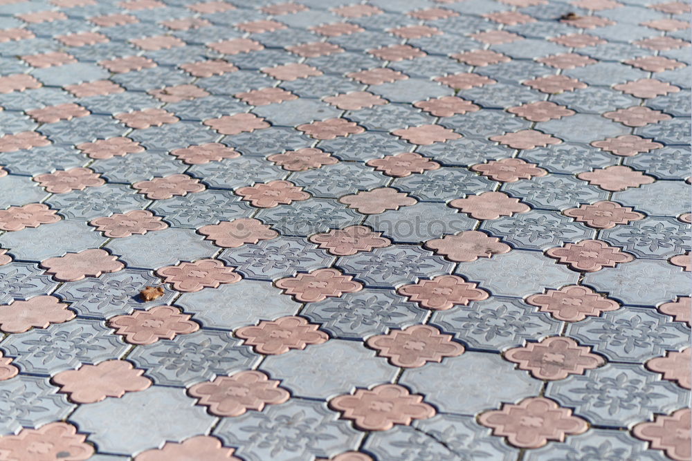 Similar – Image, Stock Photo small chequered leaf Room