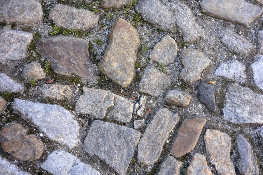 stopgaps Paving stone