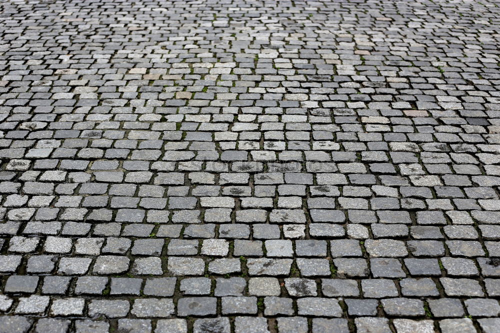 Similar – 18:07 Asphalt Cobblestones