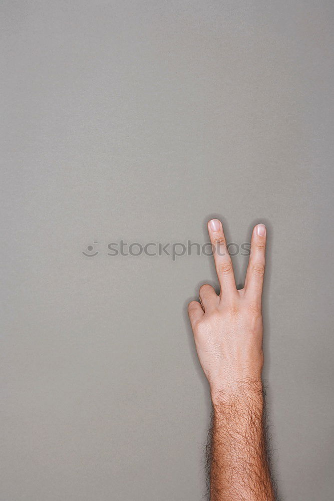 Similar – Image, Stock Photo hand-tame 3 Colour photo